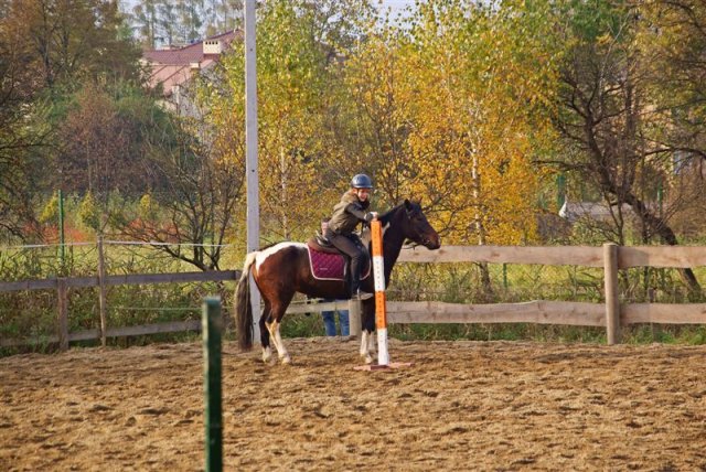 Hubertus 2009